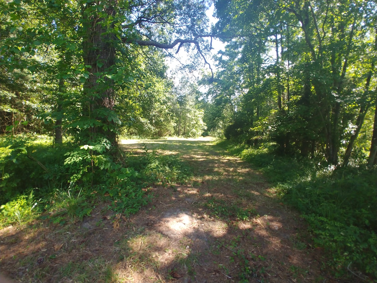 Eastern Shore Wooded Wildlife Campsite