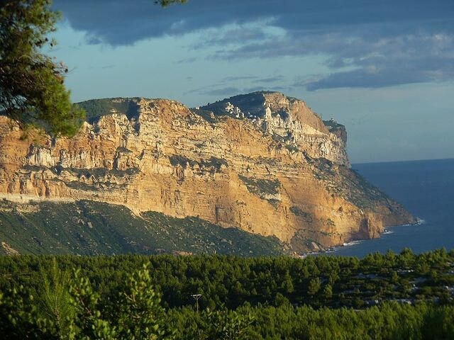 Coin calme au cœur des vignobles