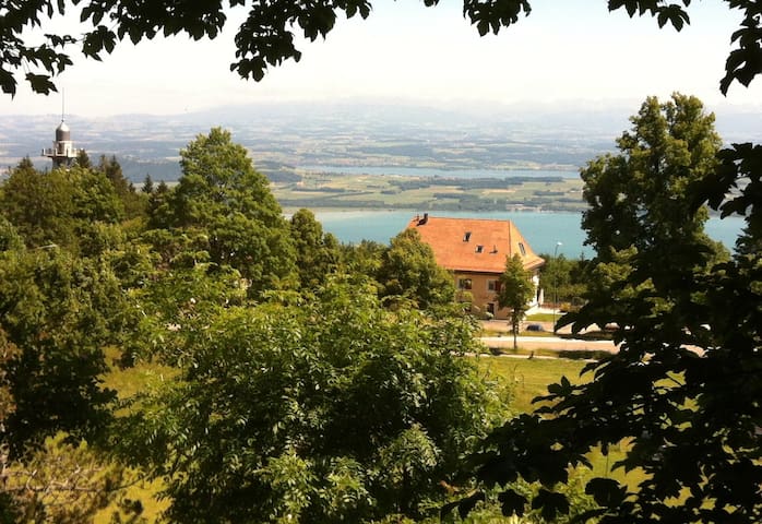 纳沙泰尔(Neuchâtel)的民宿