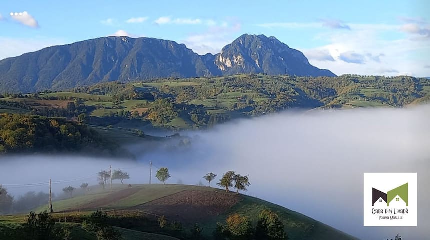 Poiana Mărului的民宿