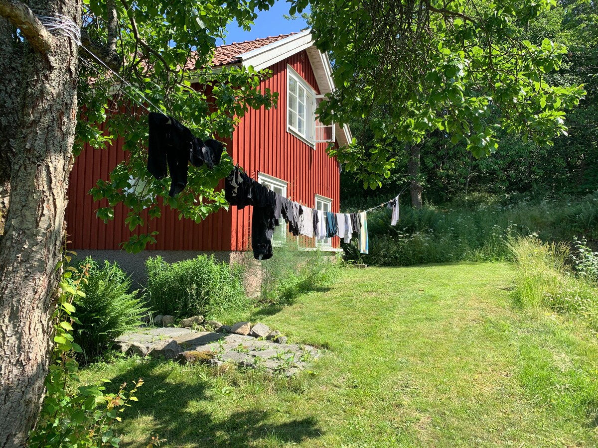 Naturnära hus i gårdsmiljö.