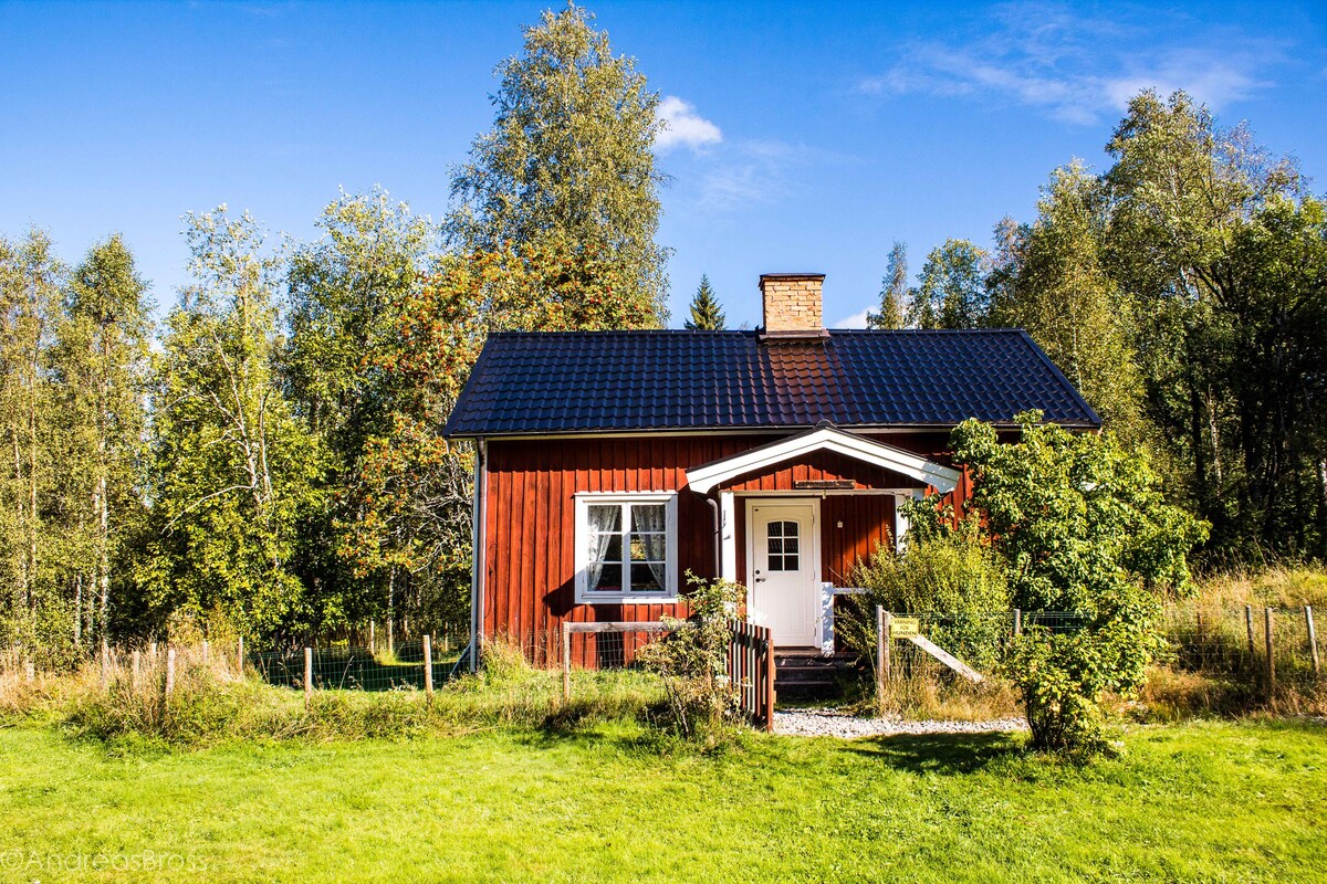 小红屋-您想象中的瑞典！