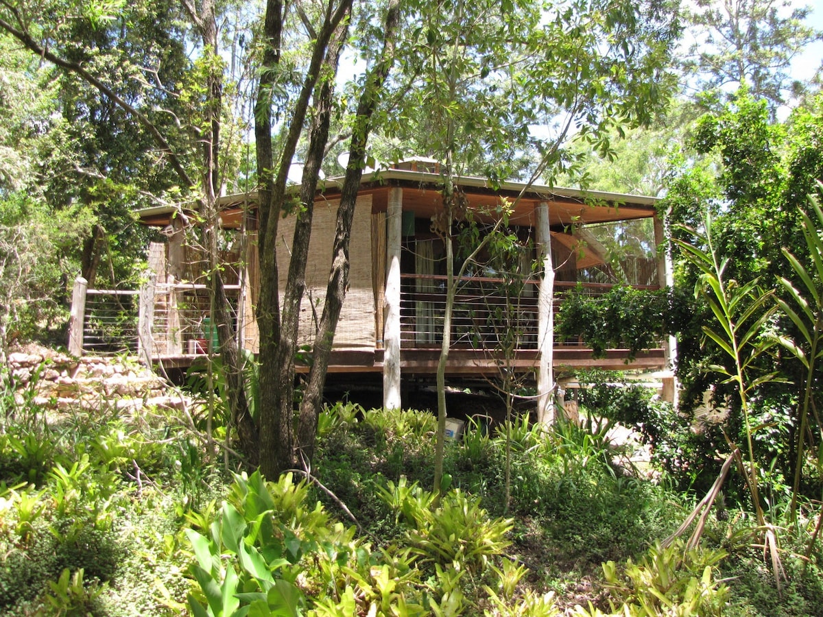 位于亚热带雨林的舒适小屋