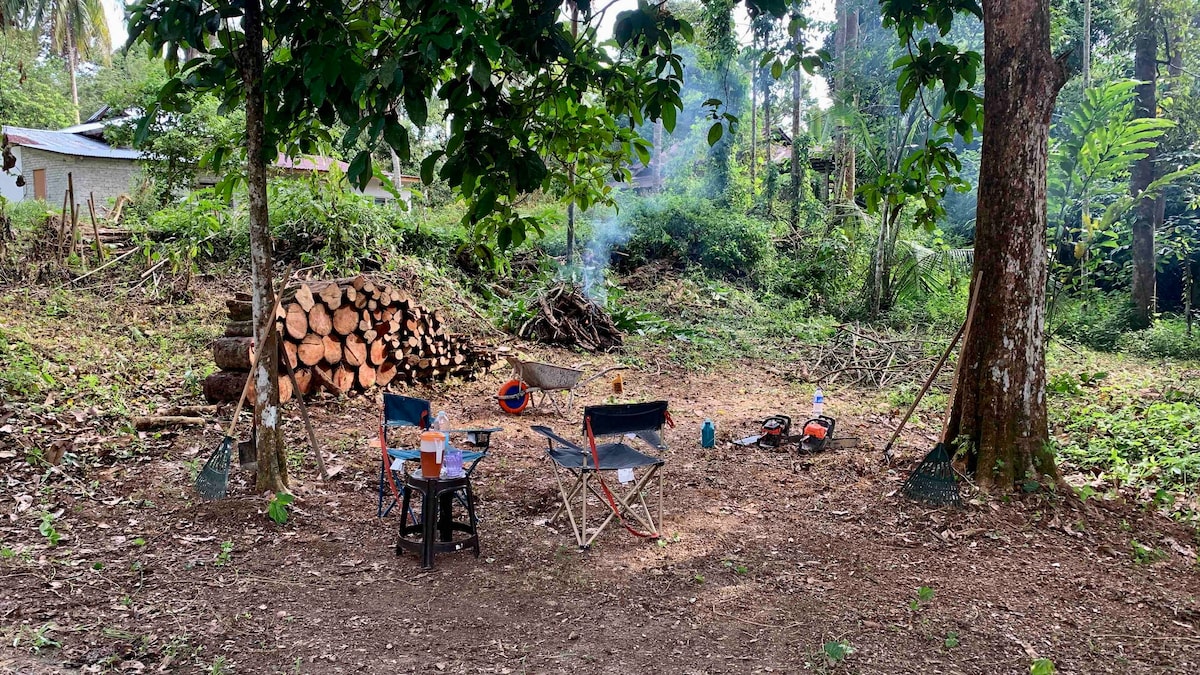 Rimba Jelai露营地（野外露营）