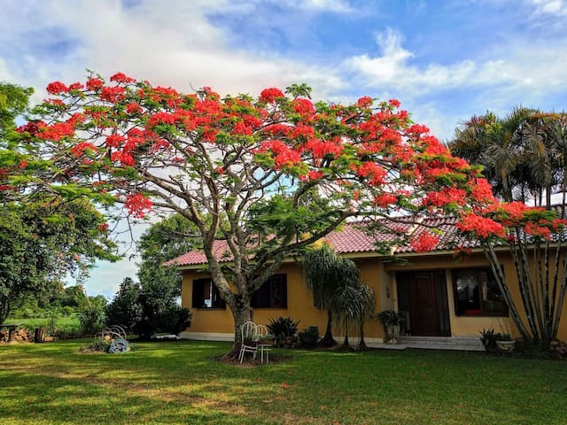 São João do Polêsine的民宿