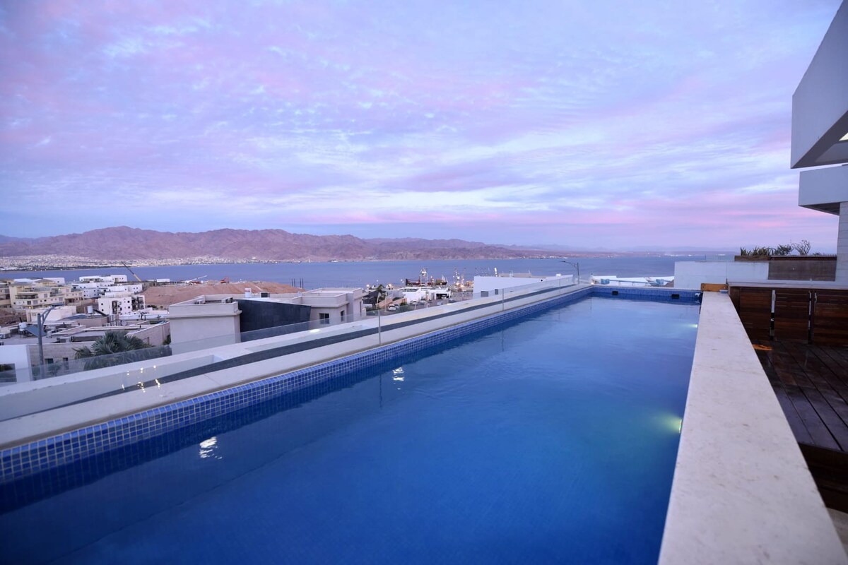 白色私人泳池豪华顶层公寓海景
