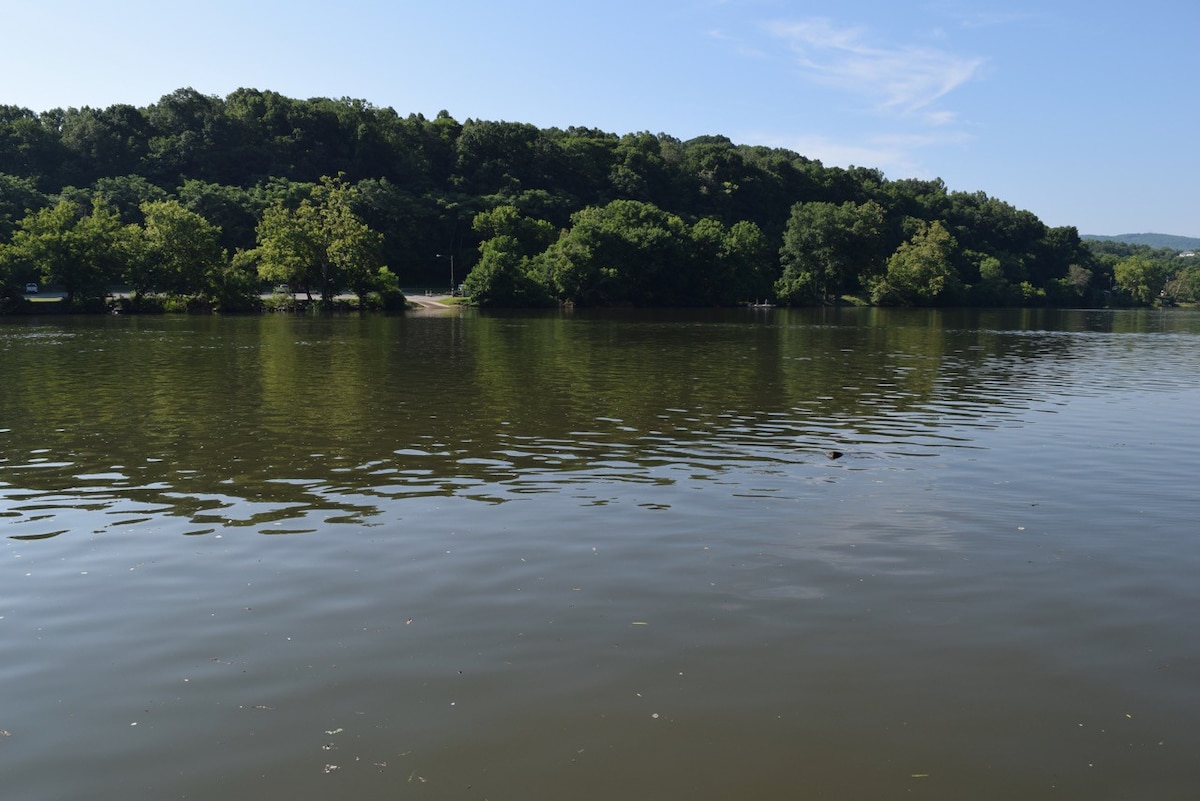 新河/克莱托湖（ Claytor Lake ）上的舒适海滨小屋