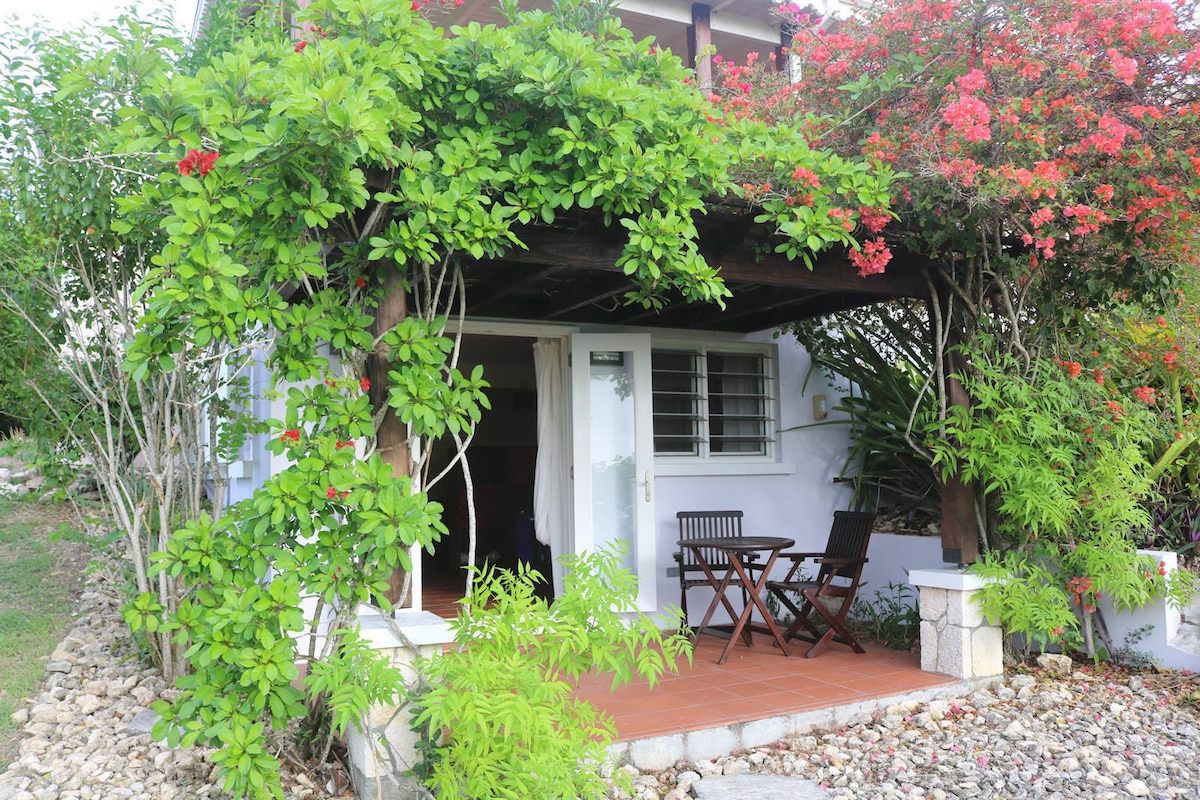 Nicole's BnB with a View of the Caribbean Sea!