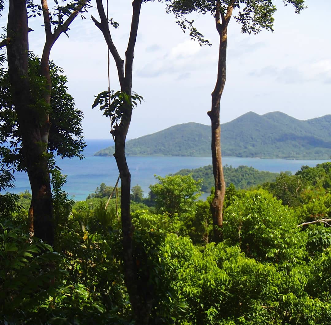 位于阿特雷马鲁自然公园（ Atremaru Nature Park ）的漂亮套房- Kamarikutan