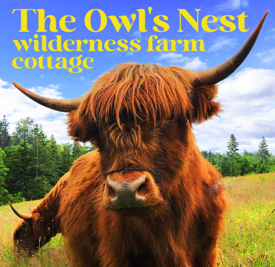 The Owl's Nest Wilderness Cottage