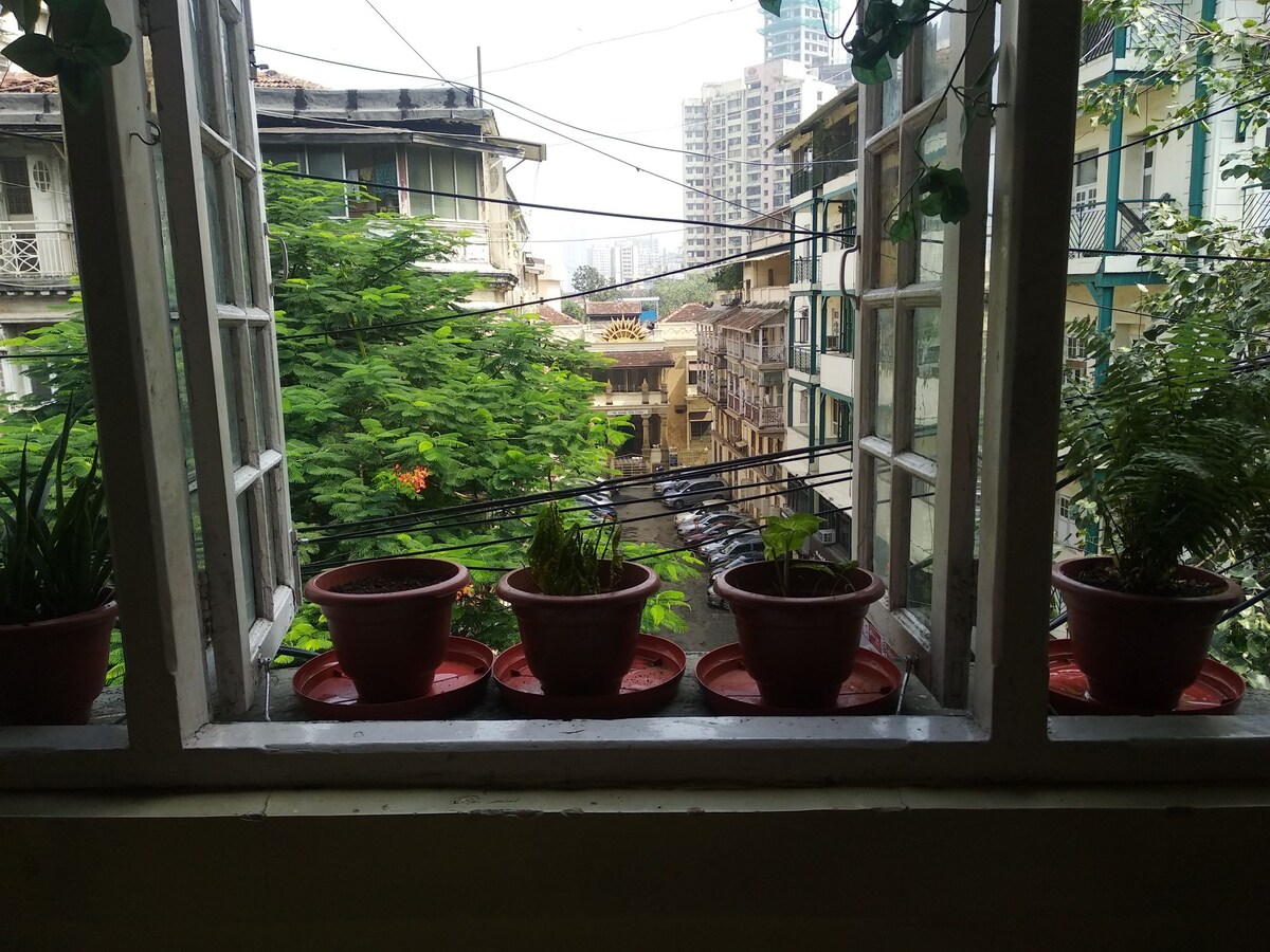 禅宗区-孟买南部的波西米亚单间公寓