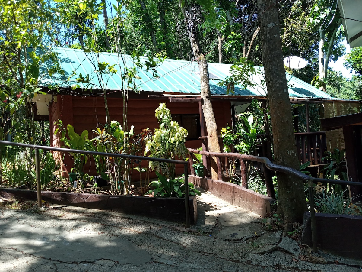 Antipolo Forest Mountain Cottage