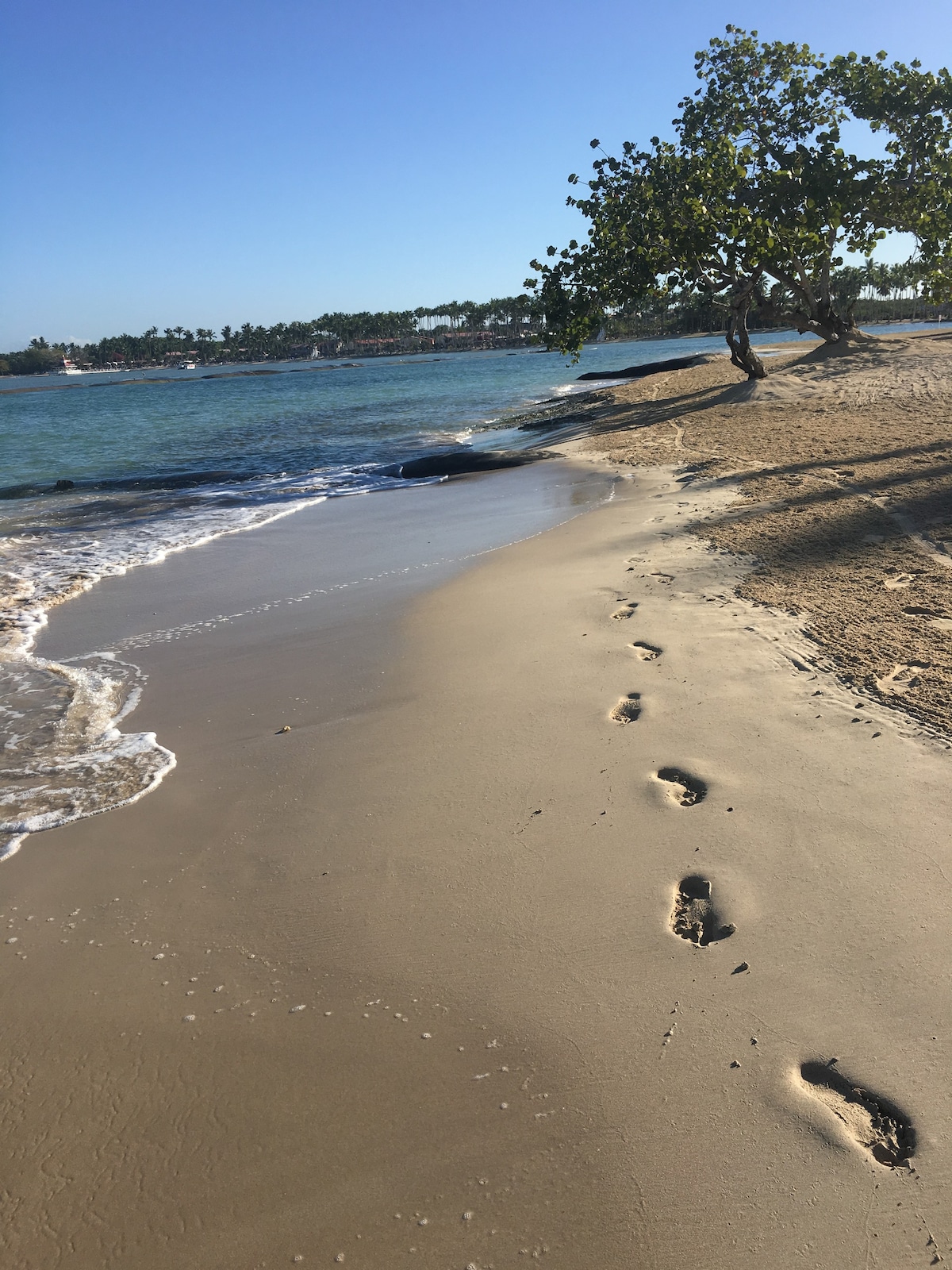 Playa Nueva Romana