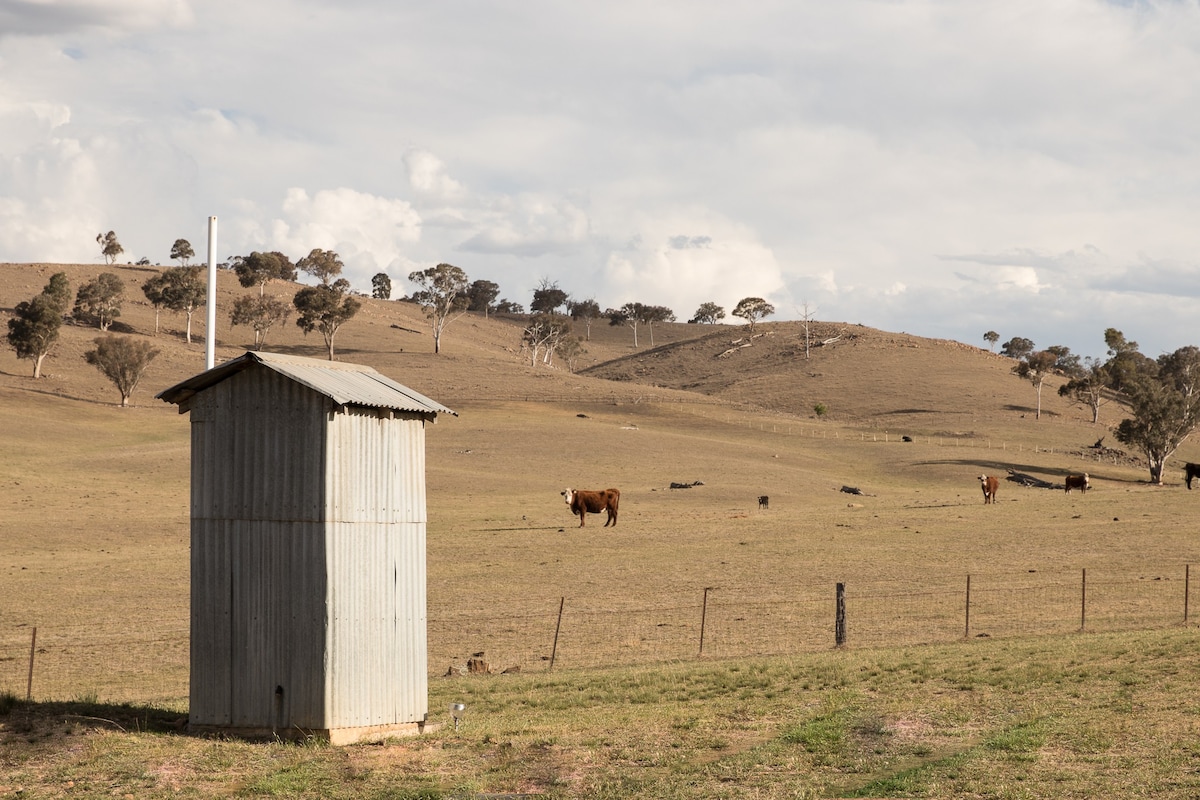 The Shearer's Quarters - 'Coomber' Rylstone