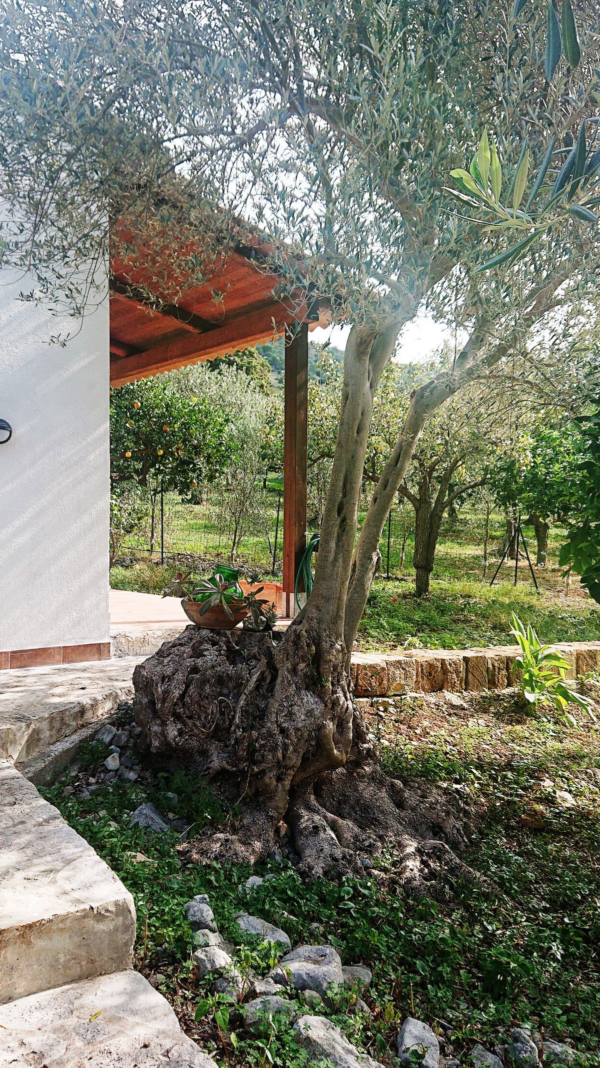 Tenuta Luogogrande : agricoltura, campagna, mare!