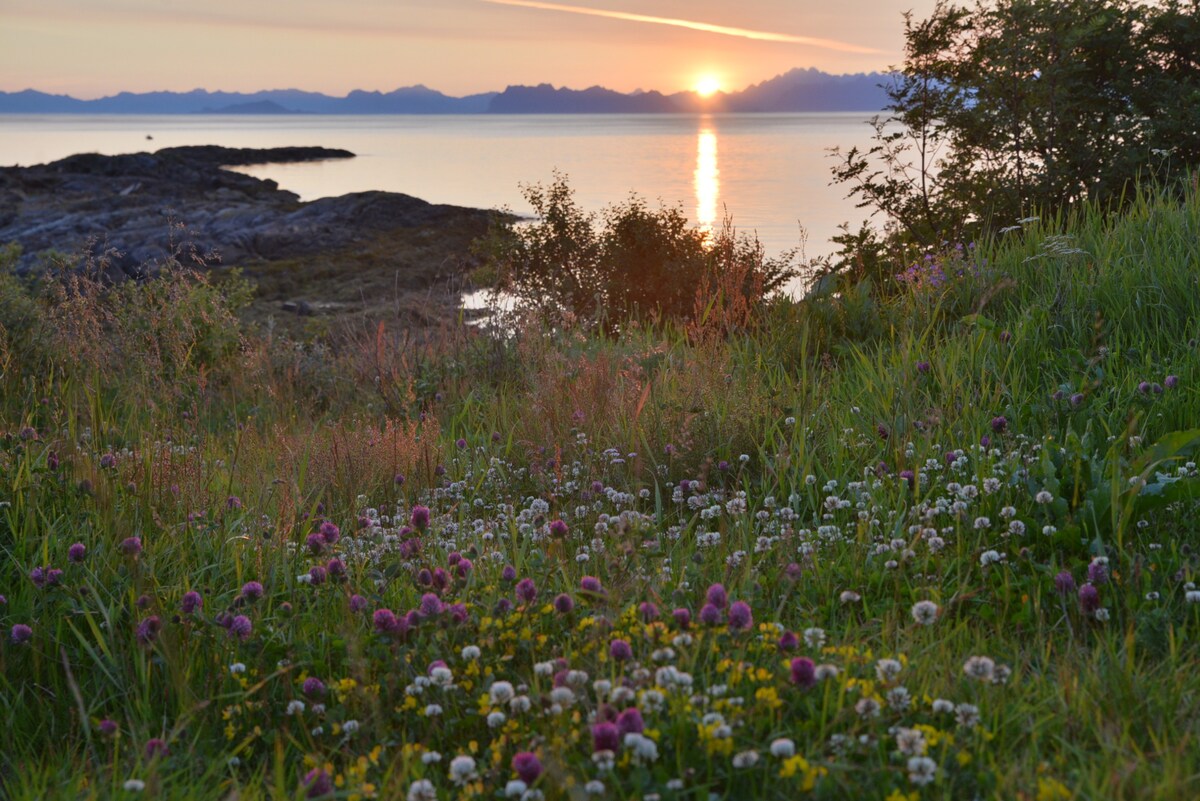 Engeløya Steigen。美好的假期生活。