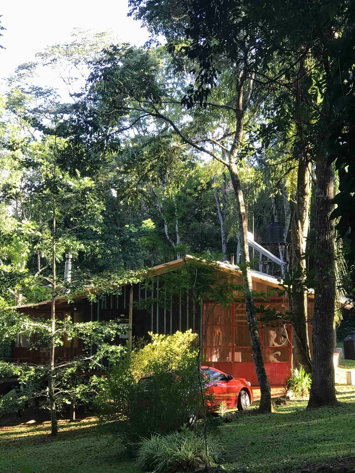 Rent House Forest, Saltos de Moconá.