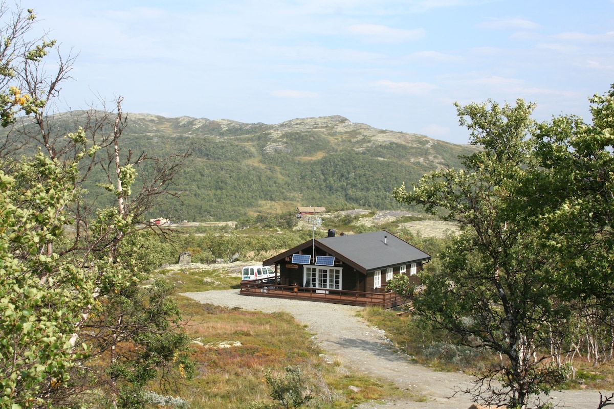 Hytte ved Øyungen i  Holtålen kommune