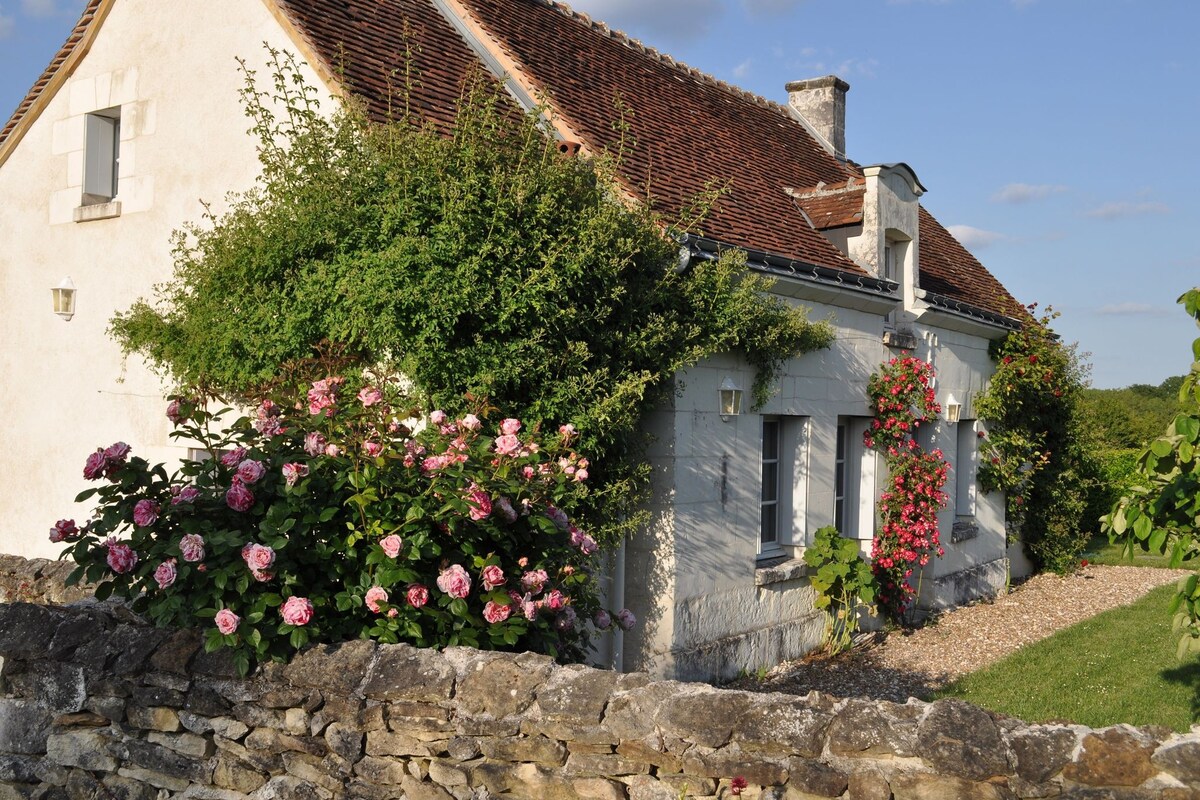 Character holiday home with swimming pool