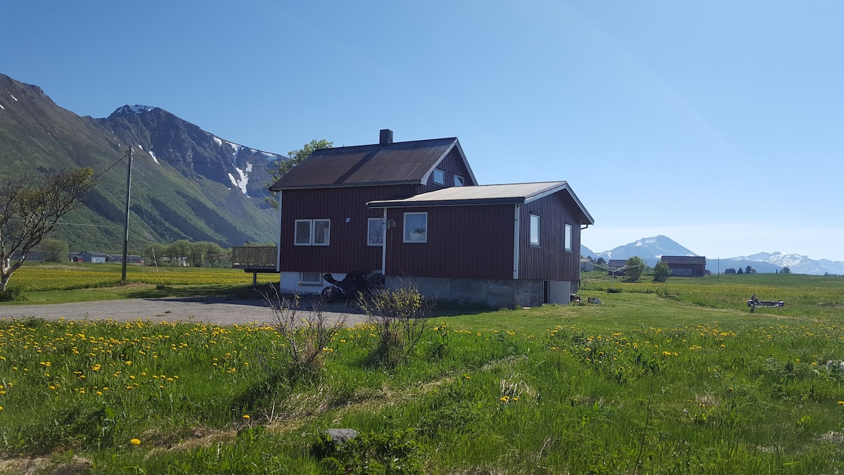 Lofoten, Vinje在Gimsøy.