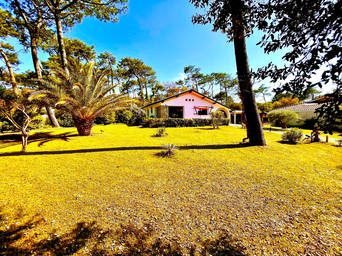 Villa dune & océan 100 m de la plage