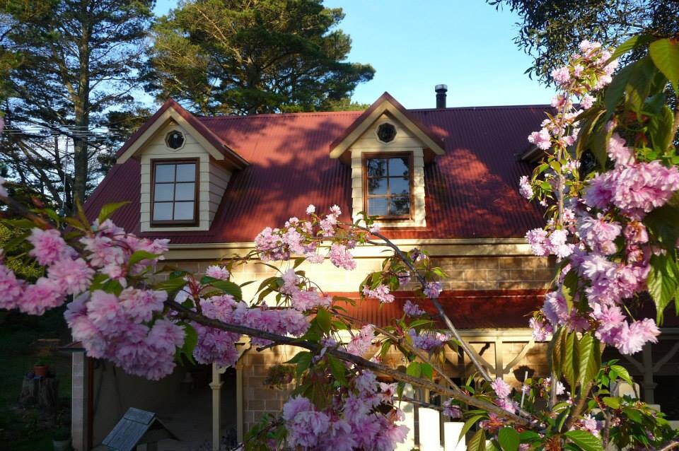 Katoomba Mountain Escape