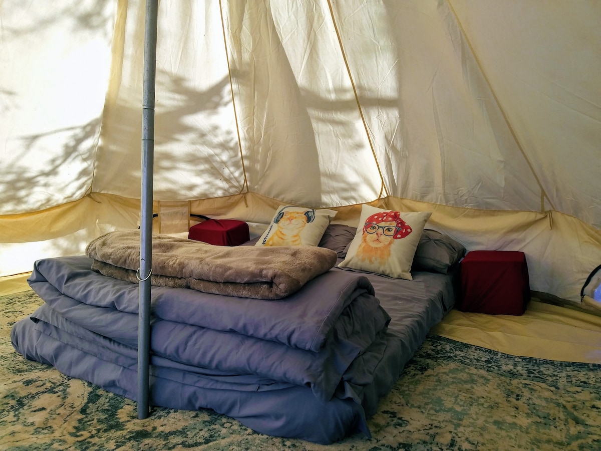 Tent #3