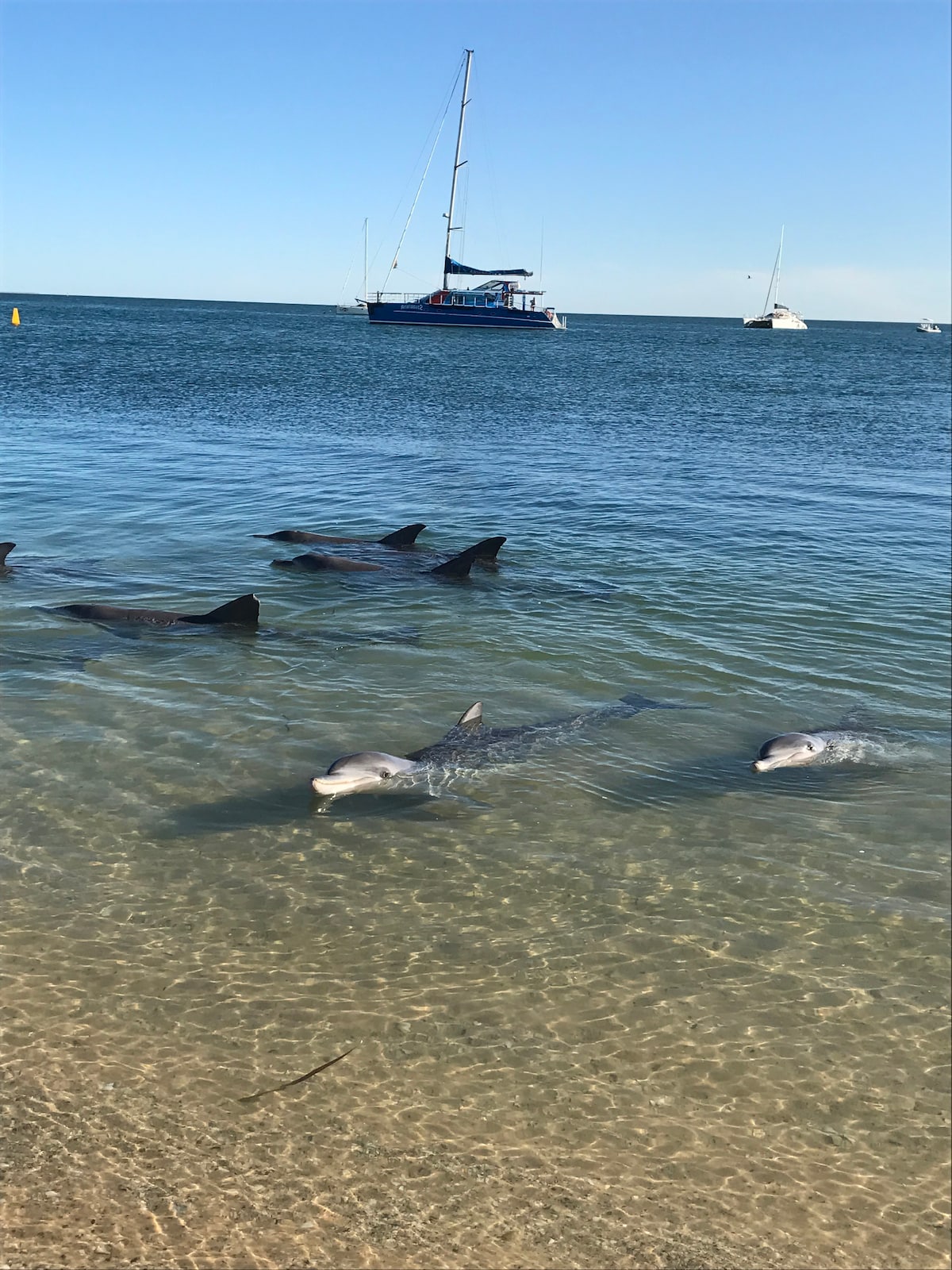 最佳海滩别墅