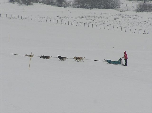 "Les Campagnards"