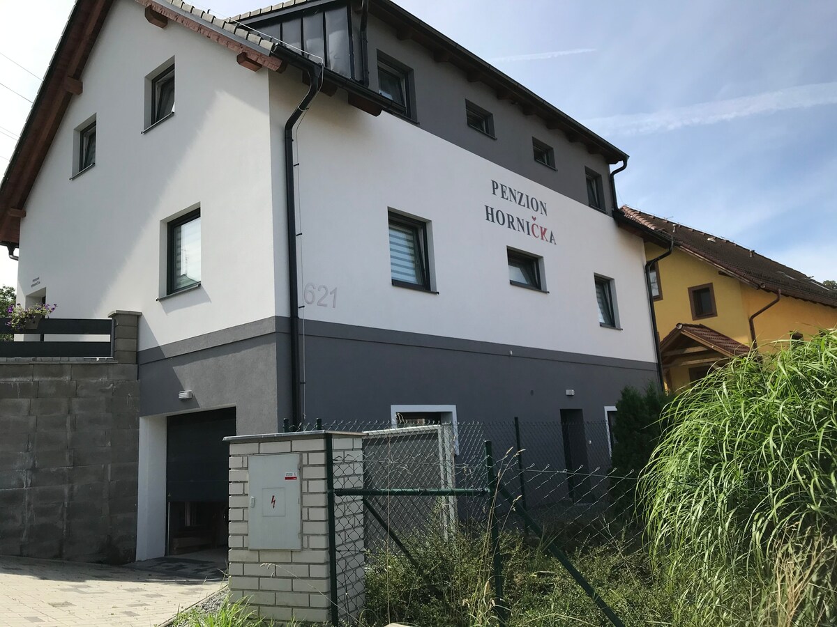 Pension Hornička,阴影621