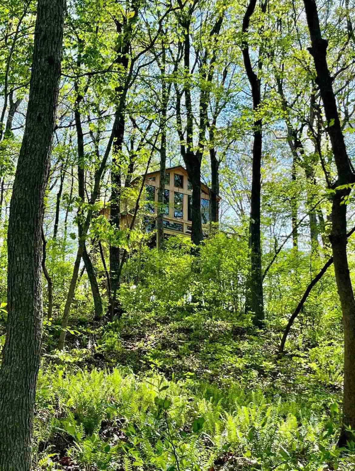 The Hideaway Treehouse