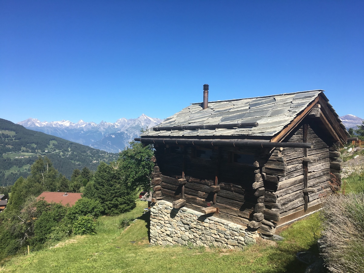 古老木材中的典型瑞士度假木屋迷人