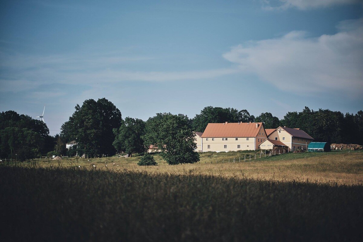 Farmhouse Selský Dvër - 3号房间