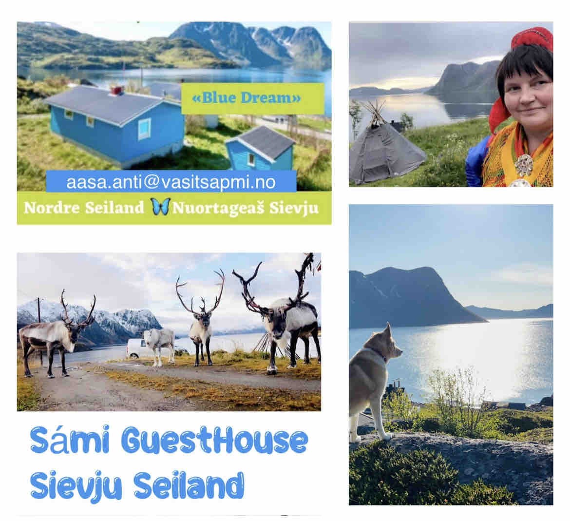 BlueDream Saami GuestHouse Seiland