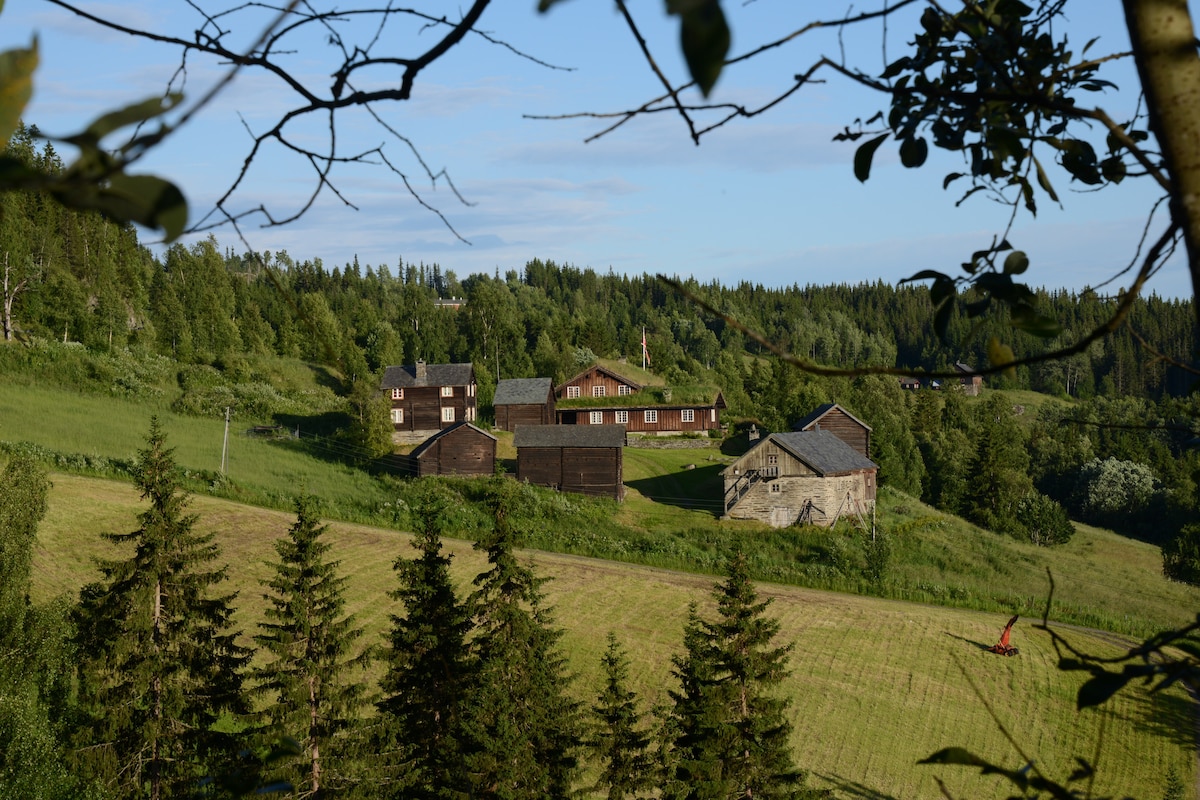 位于瓦尔德斯/挪威中部的大型山间小屋