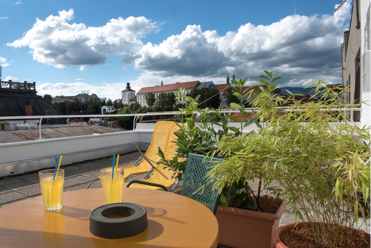 Dr .B -萨格勒布（ Zagreb ）市中心的屋顶公寓