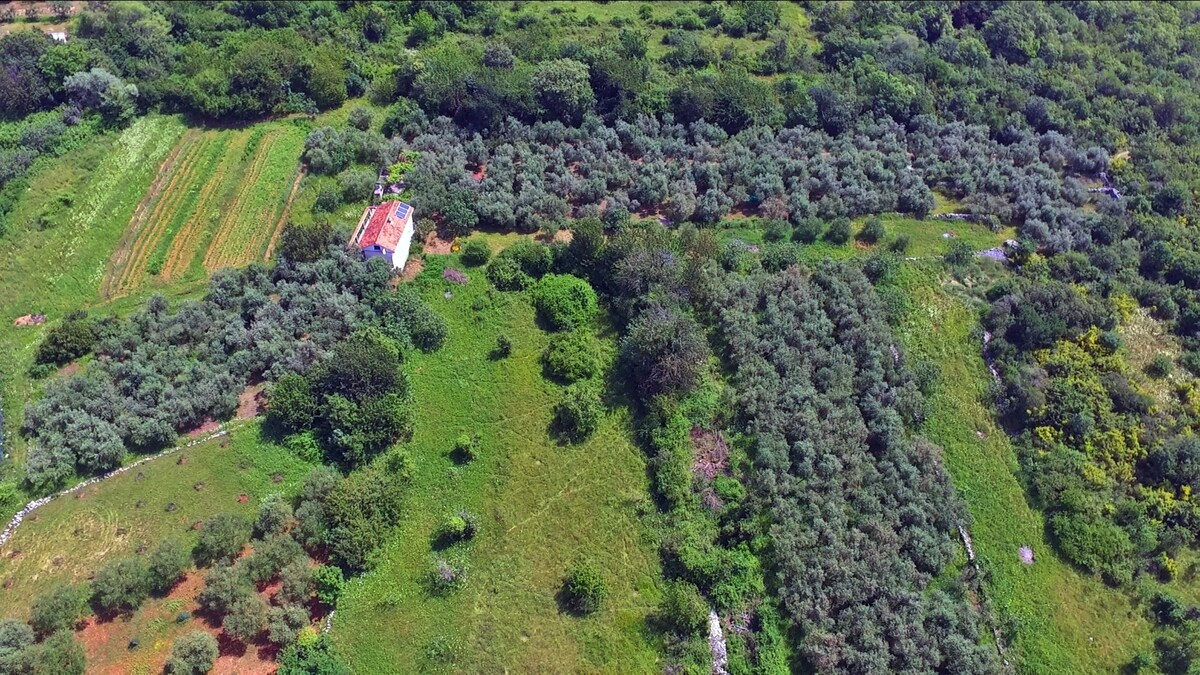 Ecohouse Oliveglia (isolated agricultural estate)