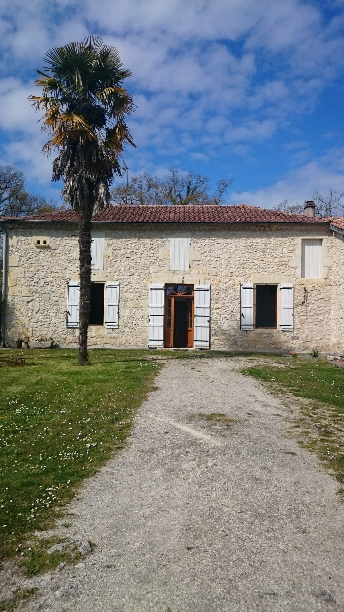 gite au coeur de la foret landaise