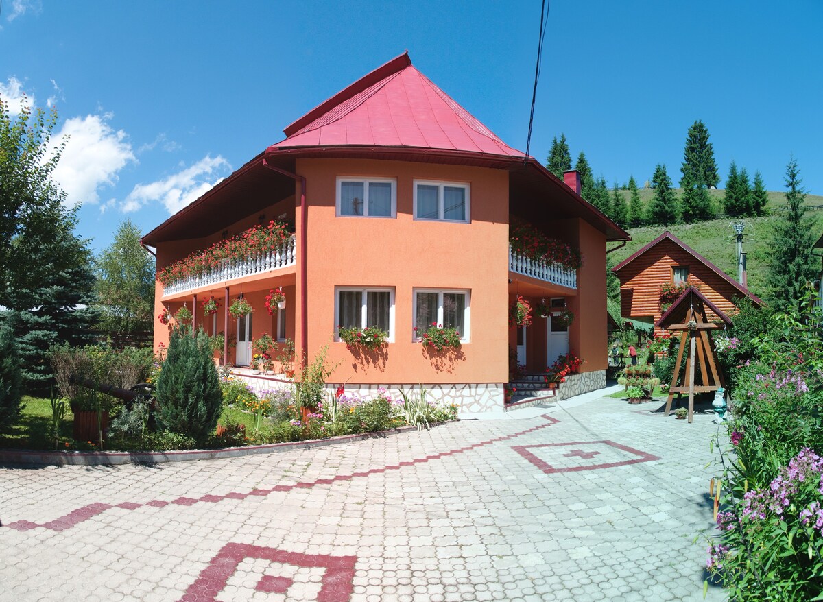 6 - Cozy room in the heart of Apuseni Mountains