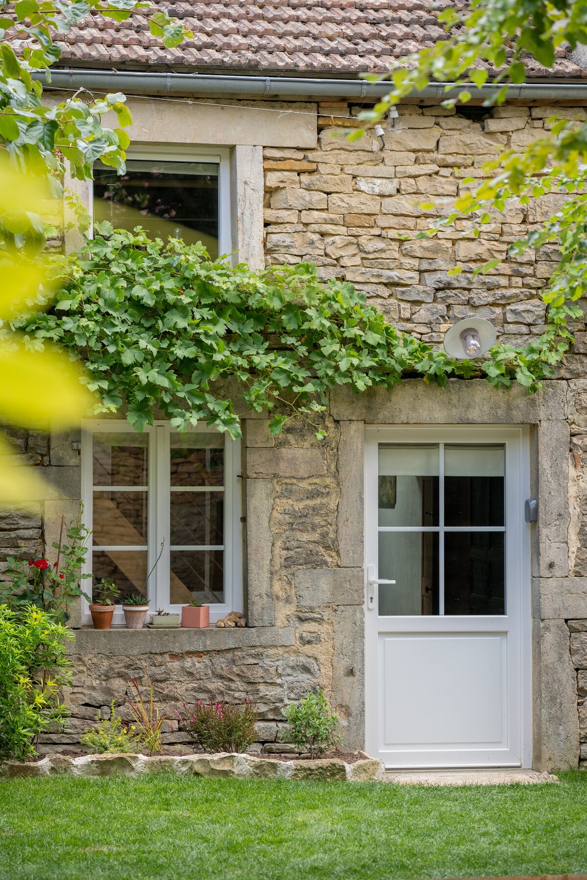 Maison de charme sur domaine viticole