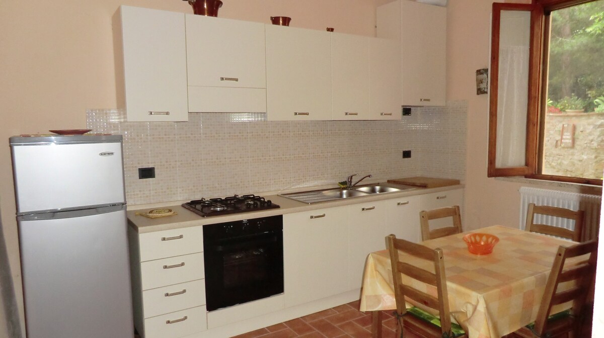 Panoramic apartment inTuscany with ideal location