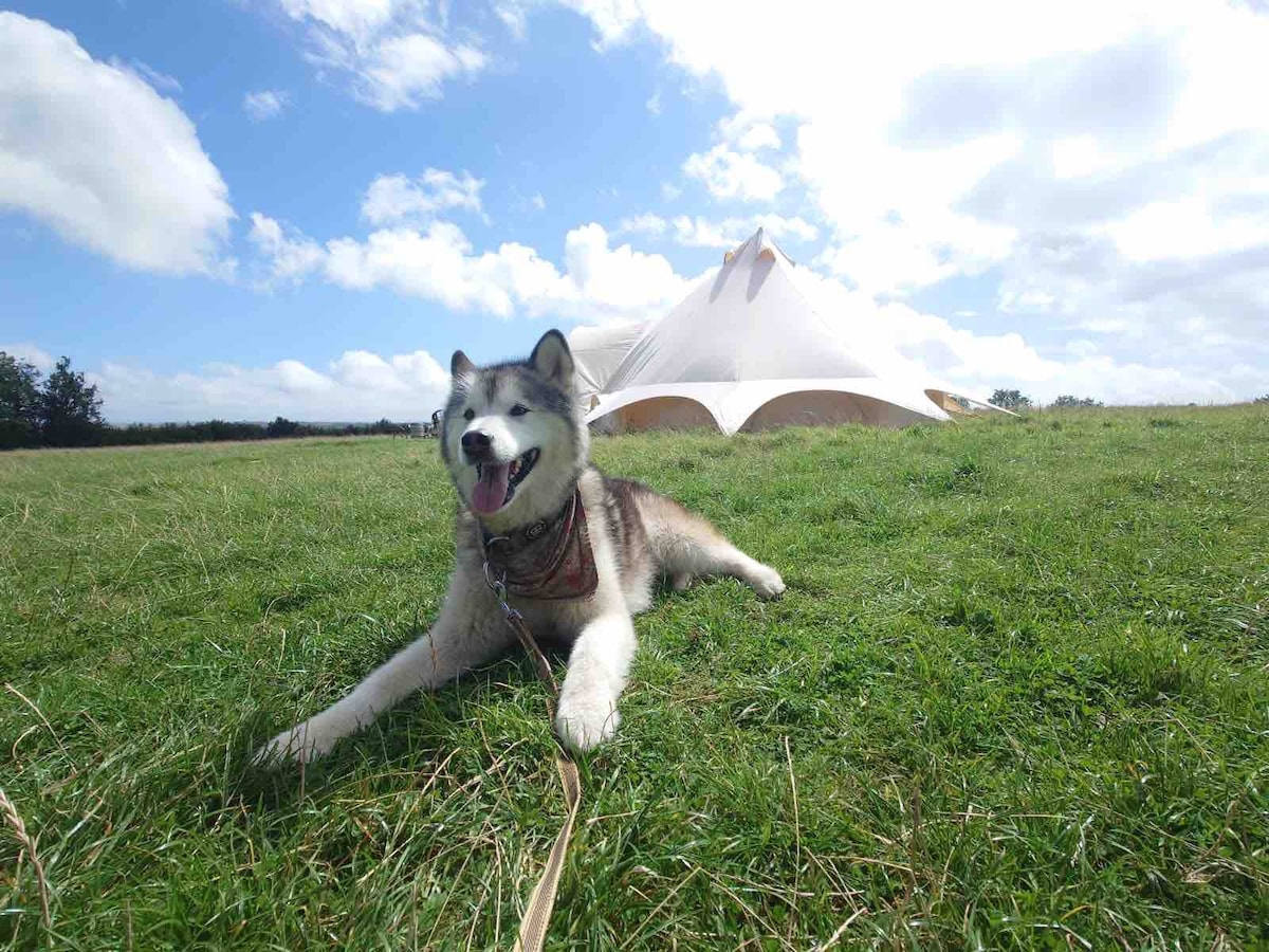 Gooseford Farm Family and Group Camping