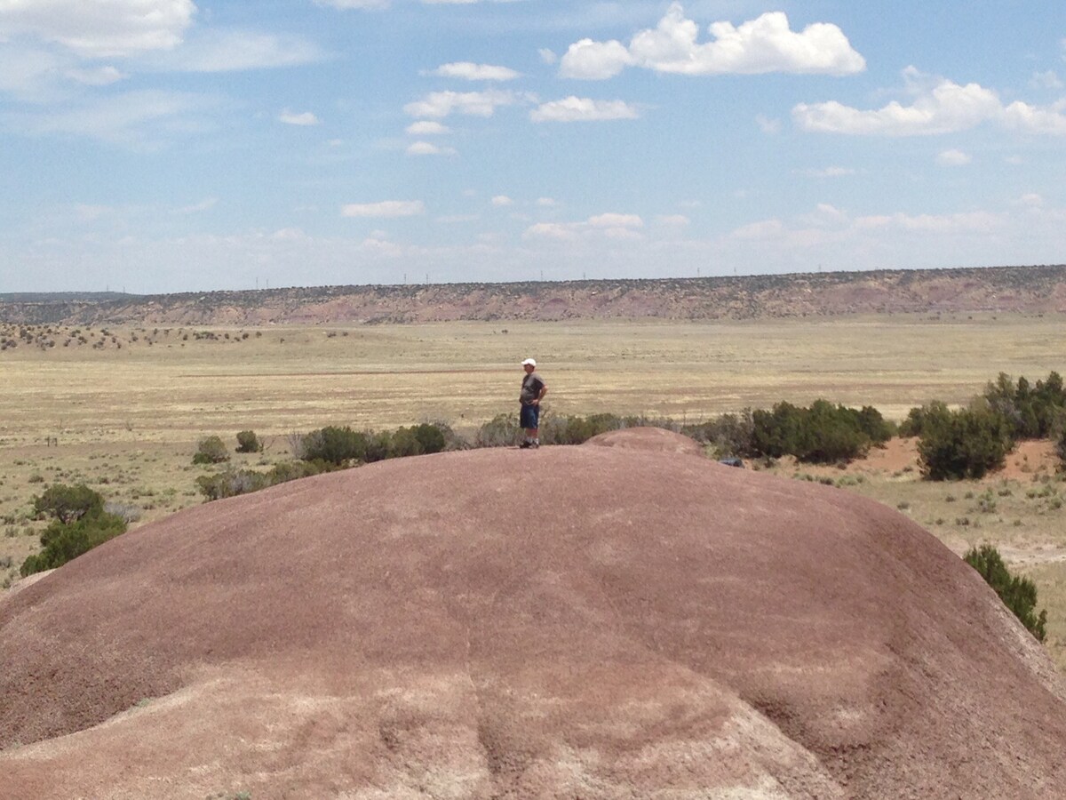 #PriusLife Campsite on Remote Wilderness Arizona