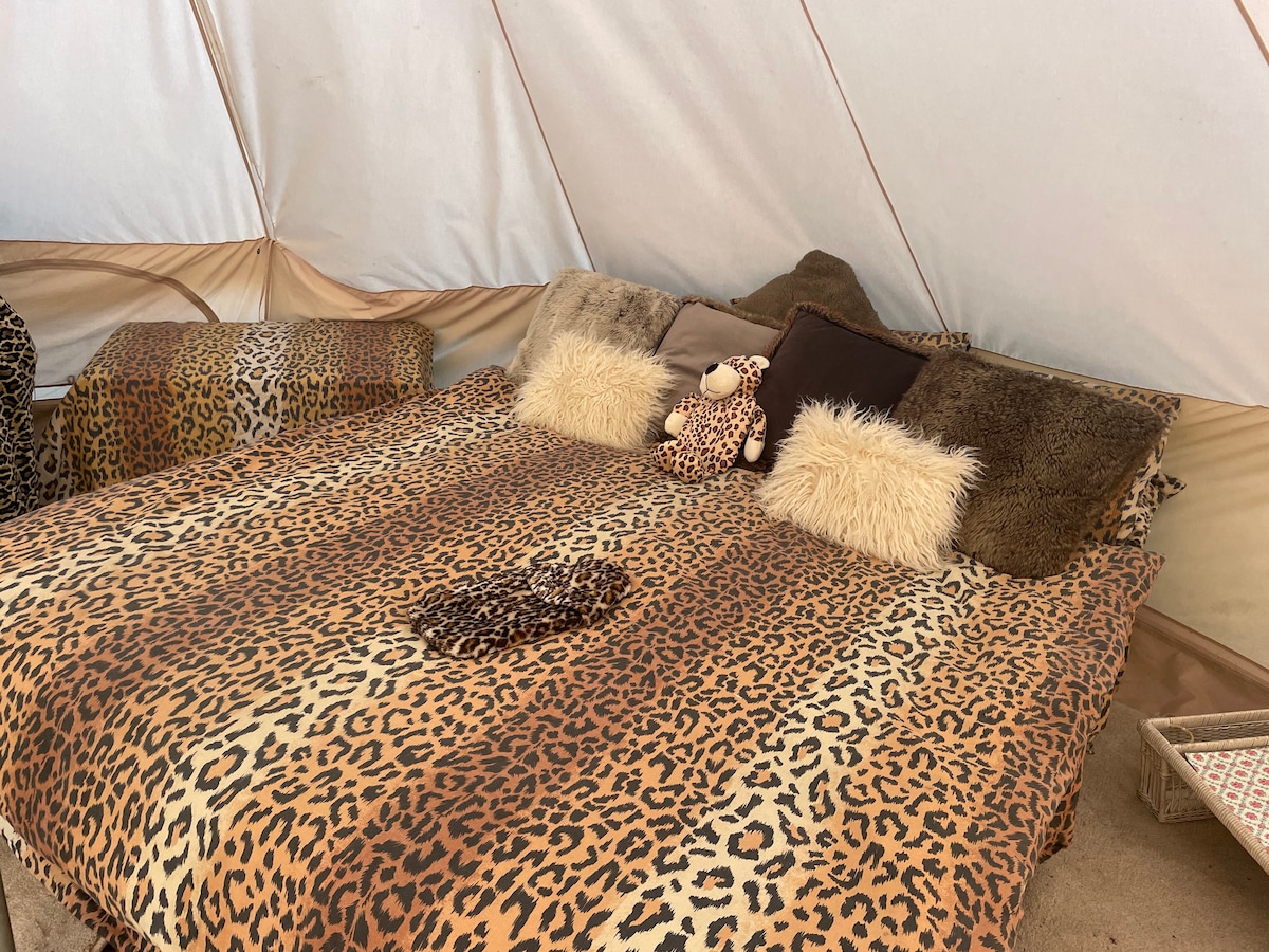 Devon Glamping Skydome