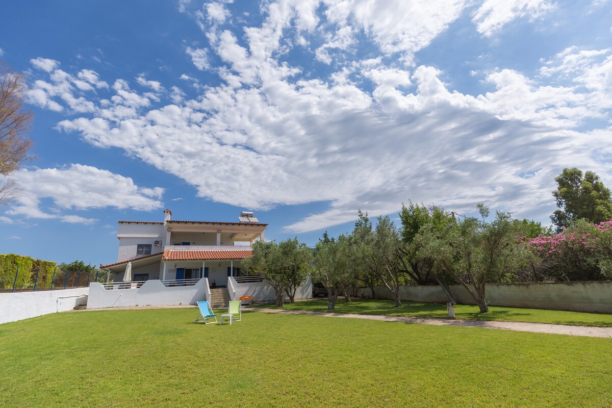 伊特鲁斯别墅（ Villa Etrusca ） ，位于海滩上， Amarynthos ， Evia