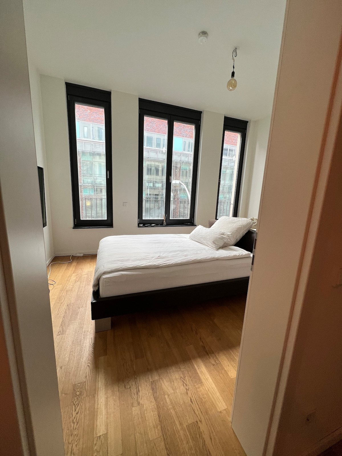 柏林市中心最佳XL灯光填充2间卧室Mitte