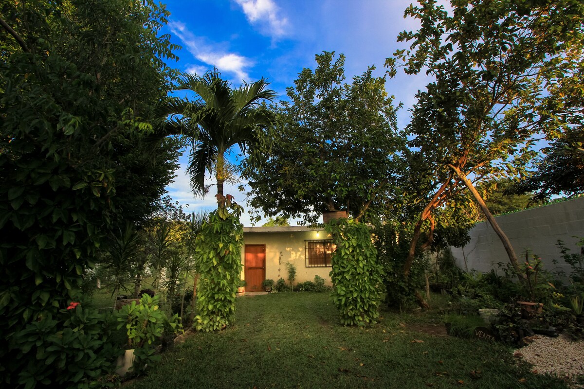 Casa Itzayana Jardín Botánico Maya Medicine