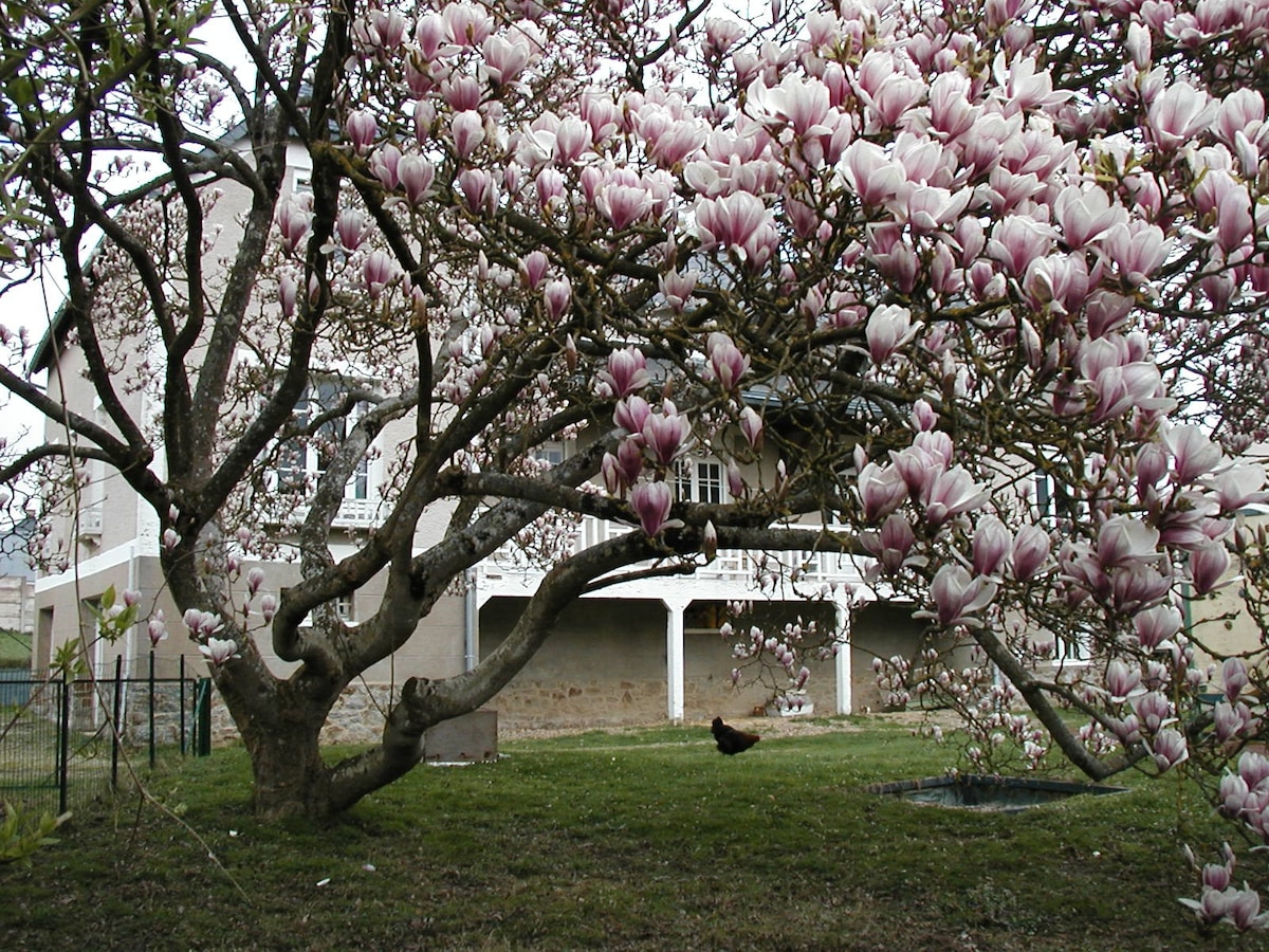 片名： The Magnolias