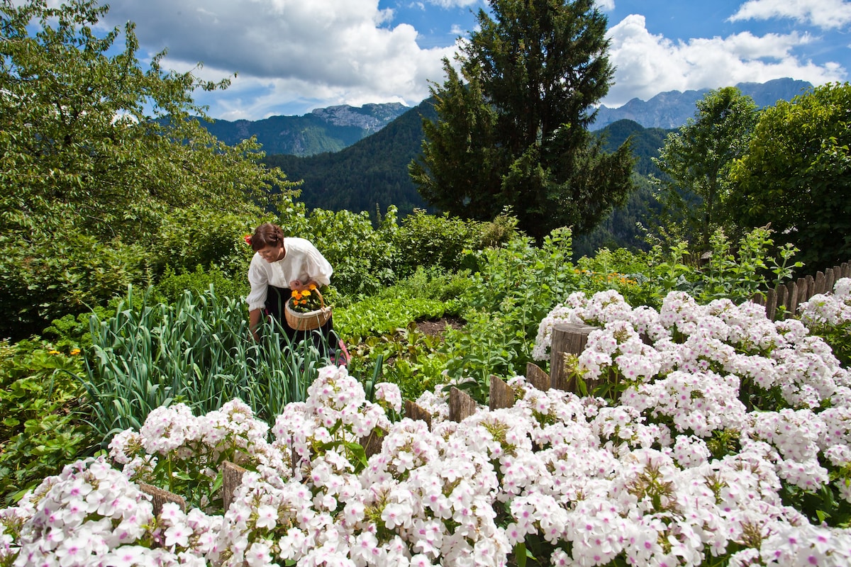 Farm Matk带三张床房