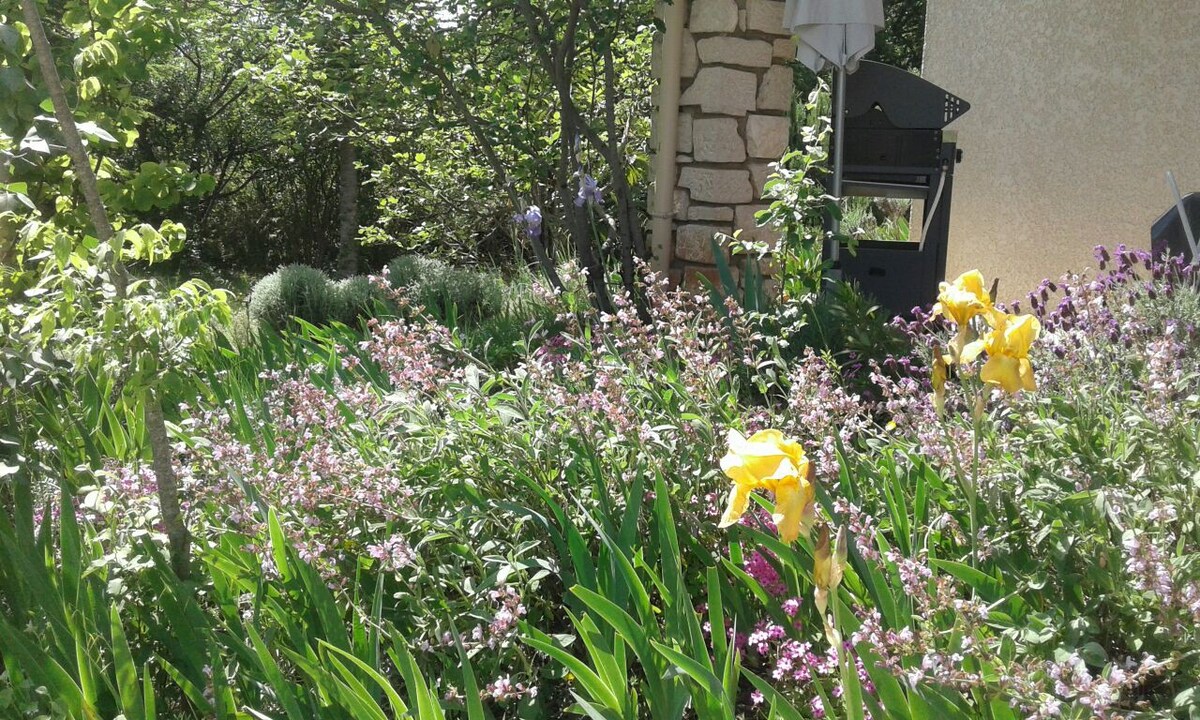 "garrigue et soleil"